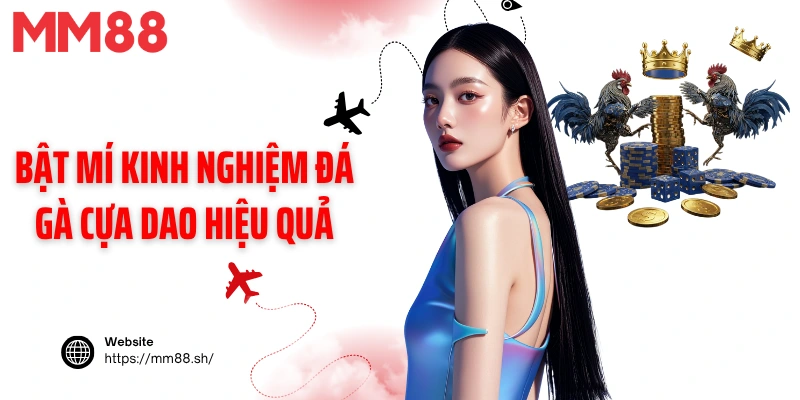 Bật mí kinh nghiệm đá gà cựa dao hiệu quả