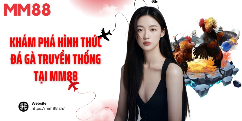 Khám phá hình thức đá gà truyền thống tại MM88