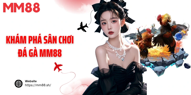 Khám phá sân chơi đá gà MM88