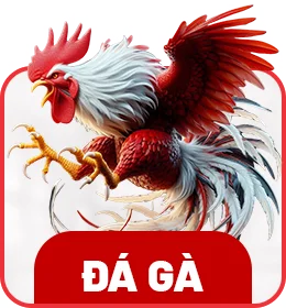 2 trường gà quốc tế