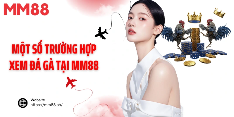 Một số trường hợp xem đá gà tại MM88