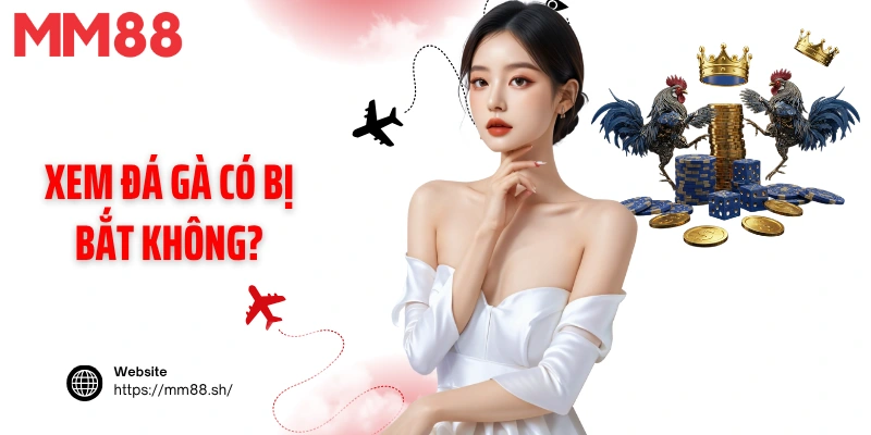 Xem đá gà có bị bắt không